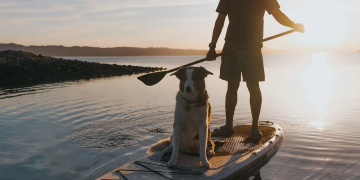 Atoll Boards Review: Are These Inflatable SUPs Built For Real-World Adventures?